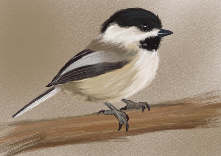 My bird