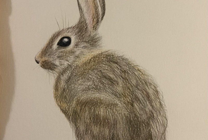 Bunny, I’m home!