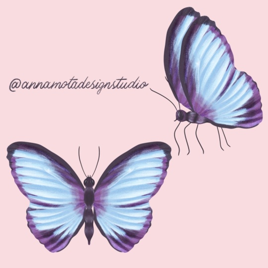 Butterflies