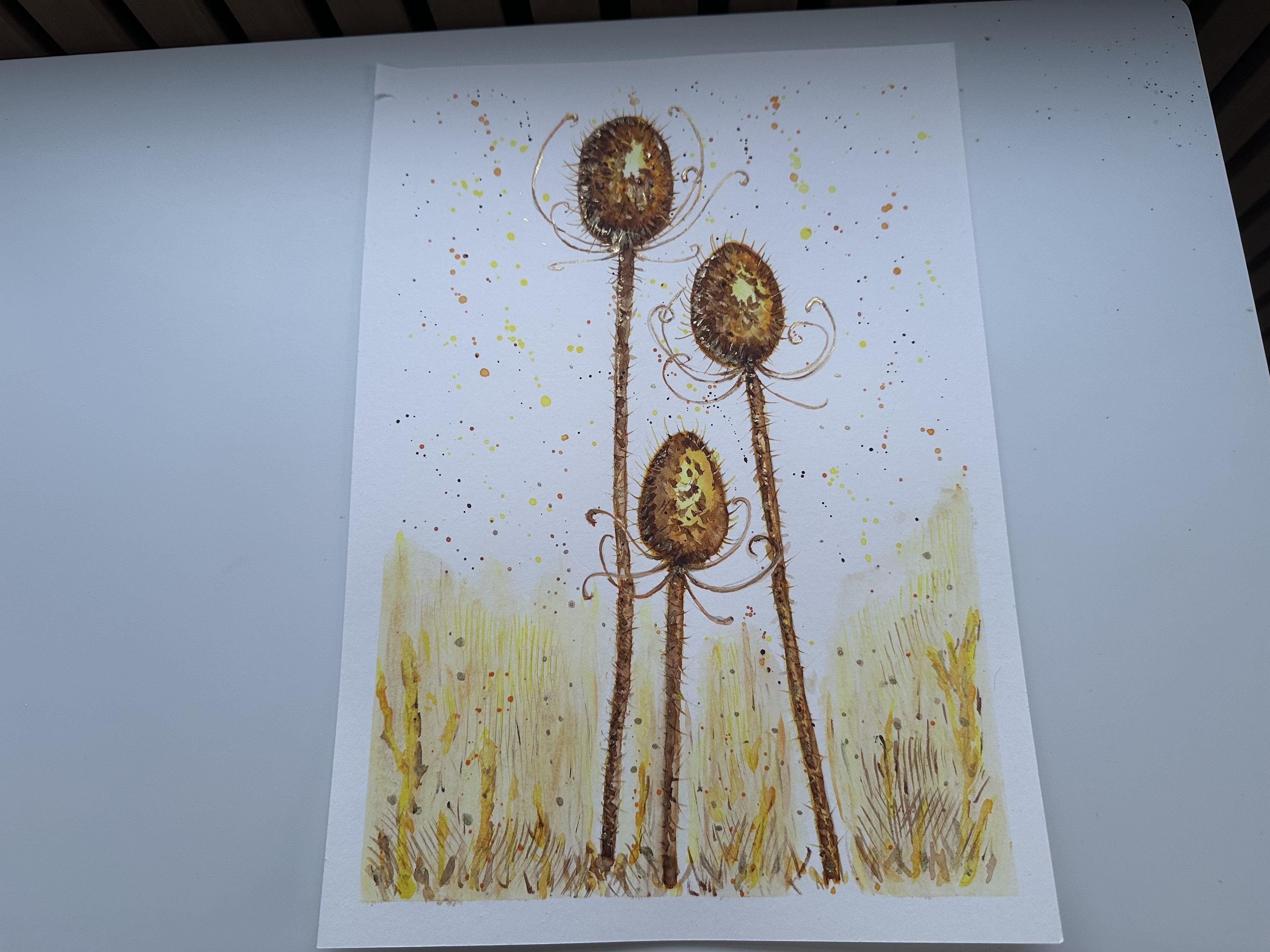 more-projects-from-class-img