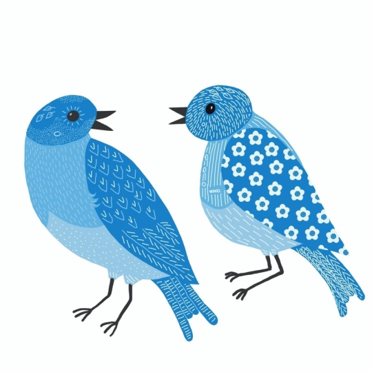 Bluebirds
