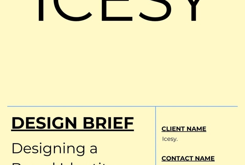 ICESY DESIGN BRIEF