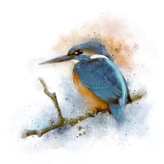 Watercolour kingfisher