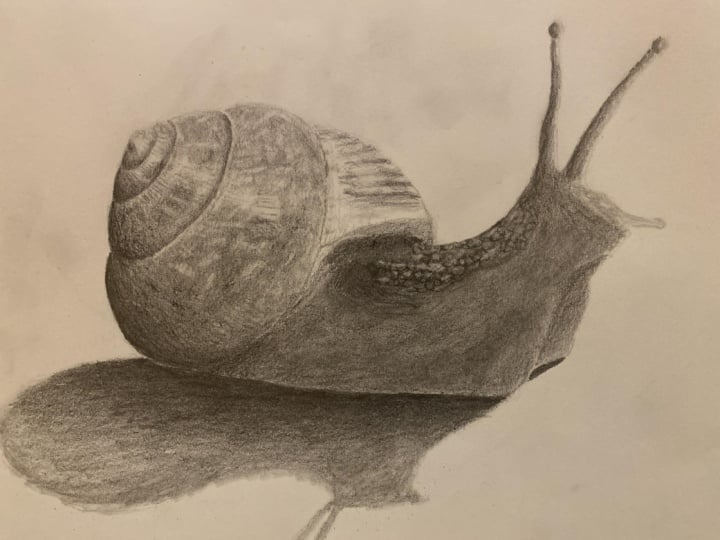 Snail