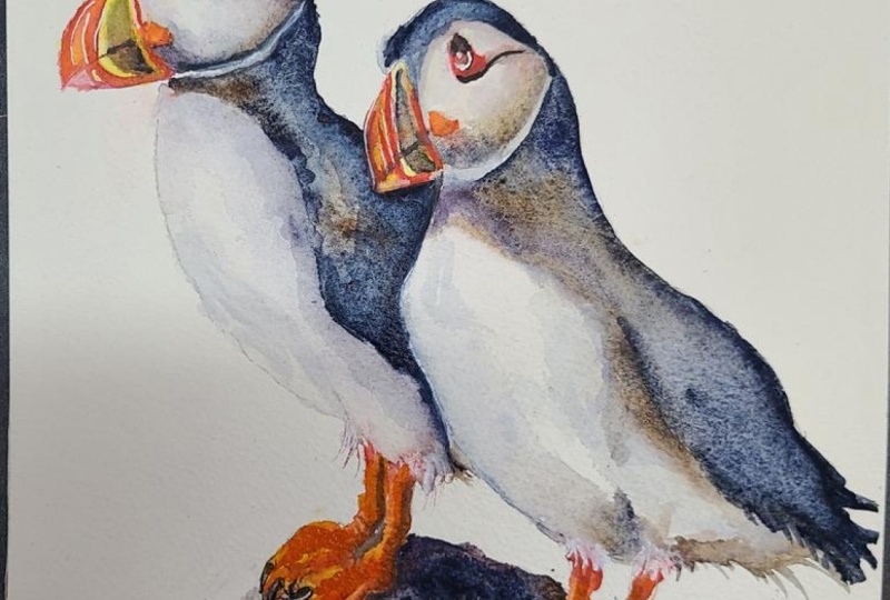 Puffins with Jane