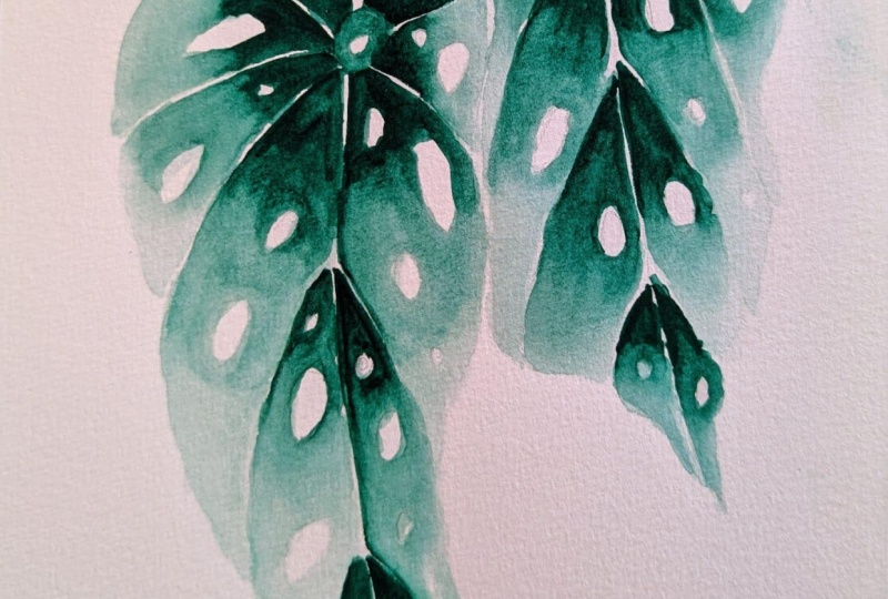 It's a leafy day!