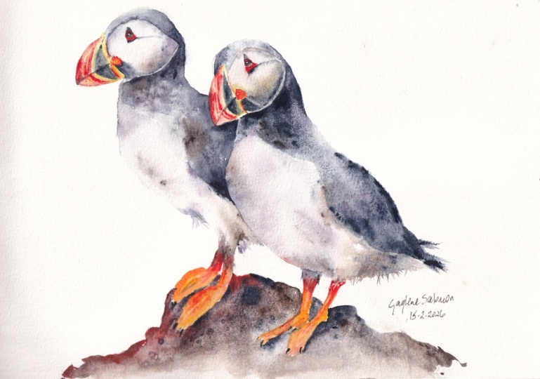 Puffins