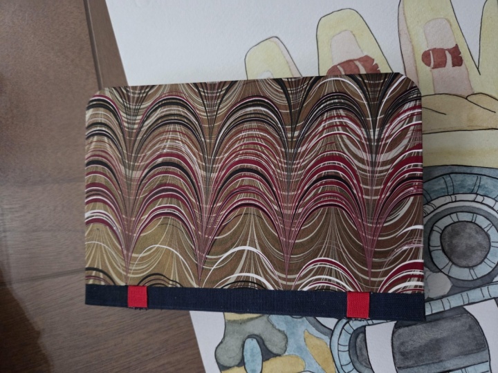 My pocket journal