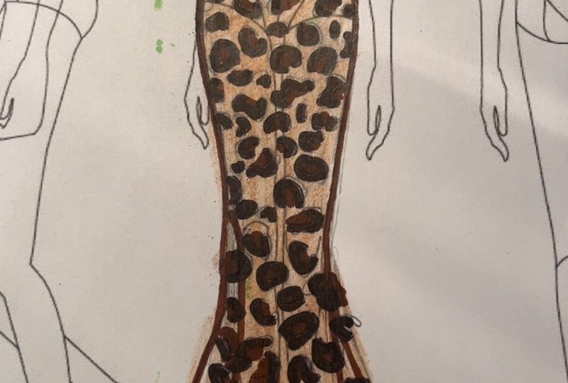 Leopard Print Dress