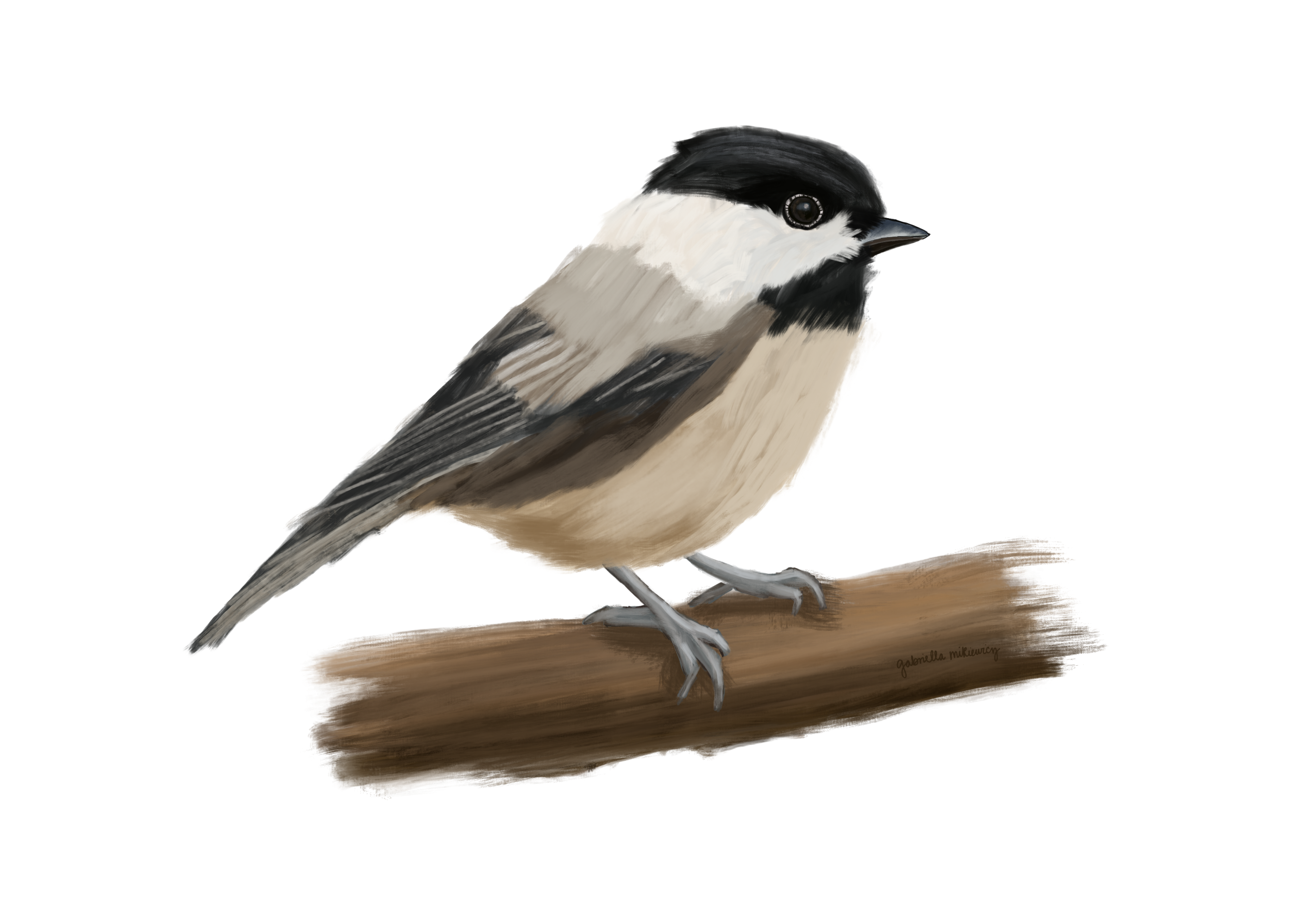 more-projects-from-class-img
