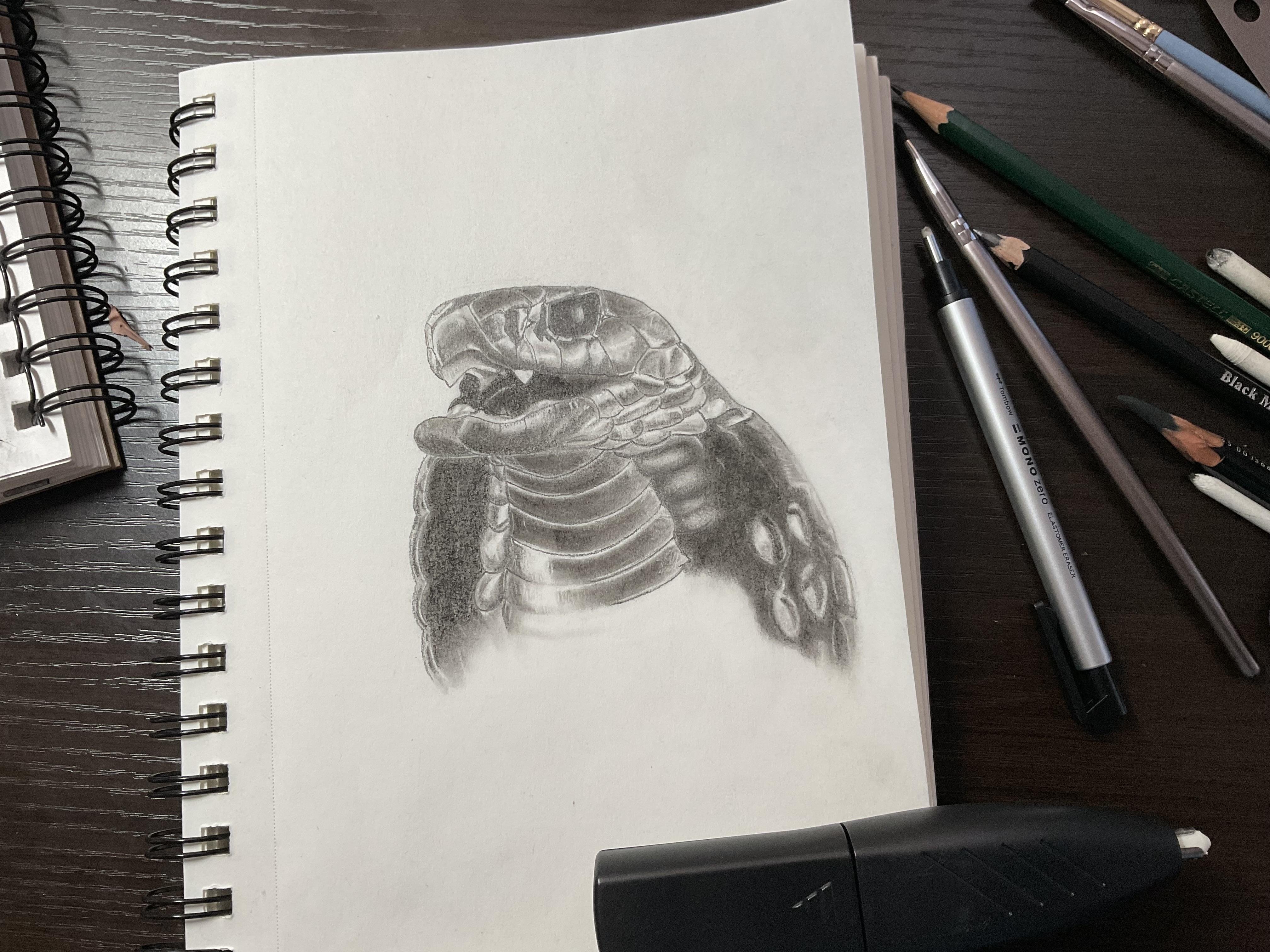 Project - student project