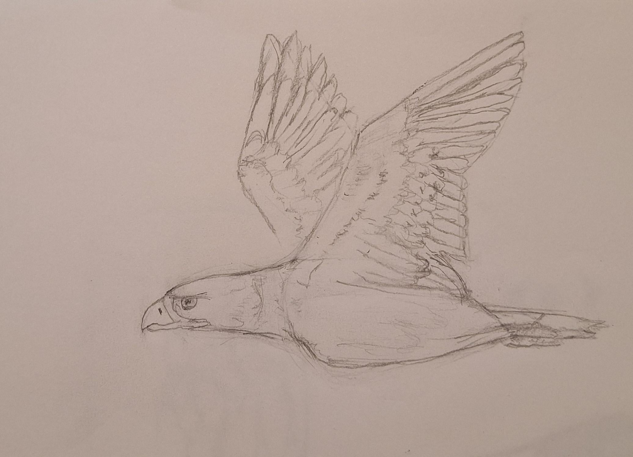 more-projects-from-class-img