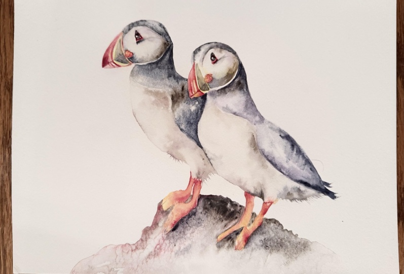 Peppy Puffins