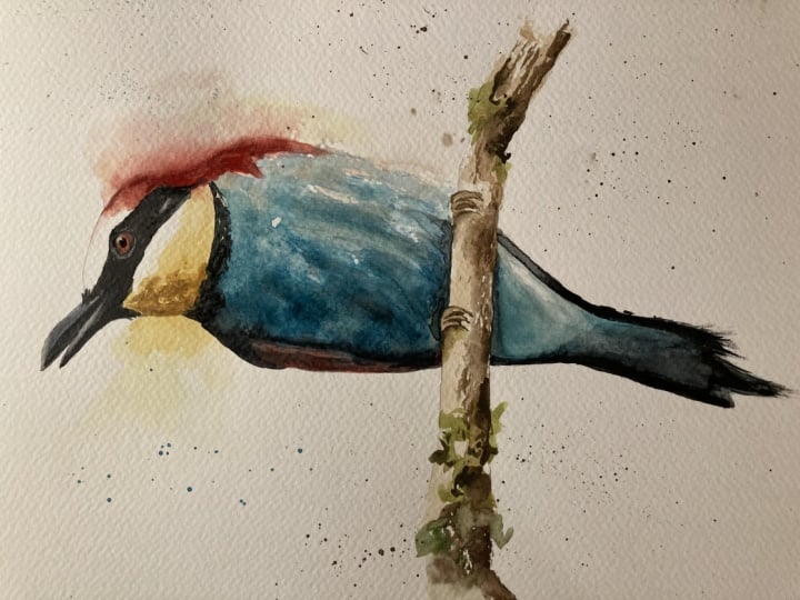 Bee eater
