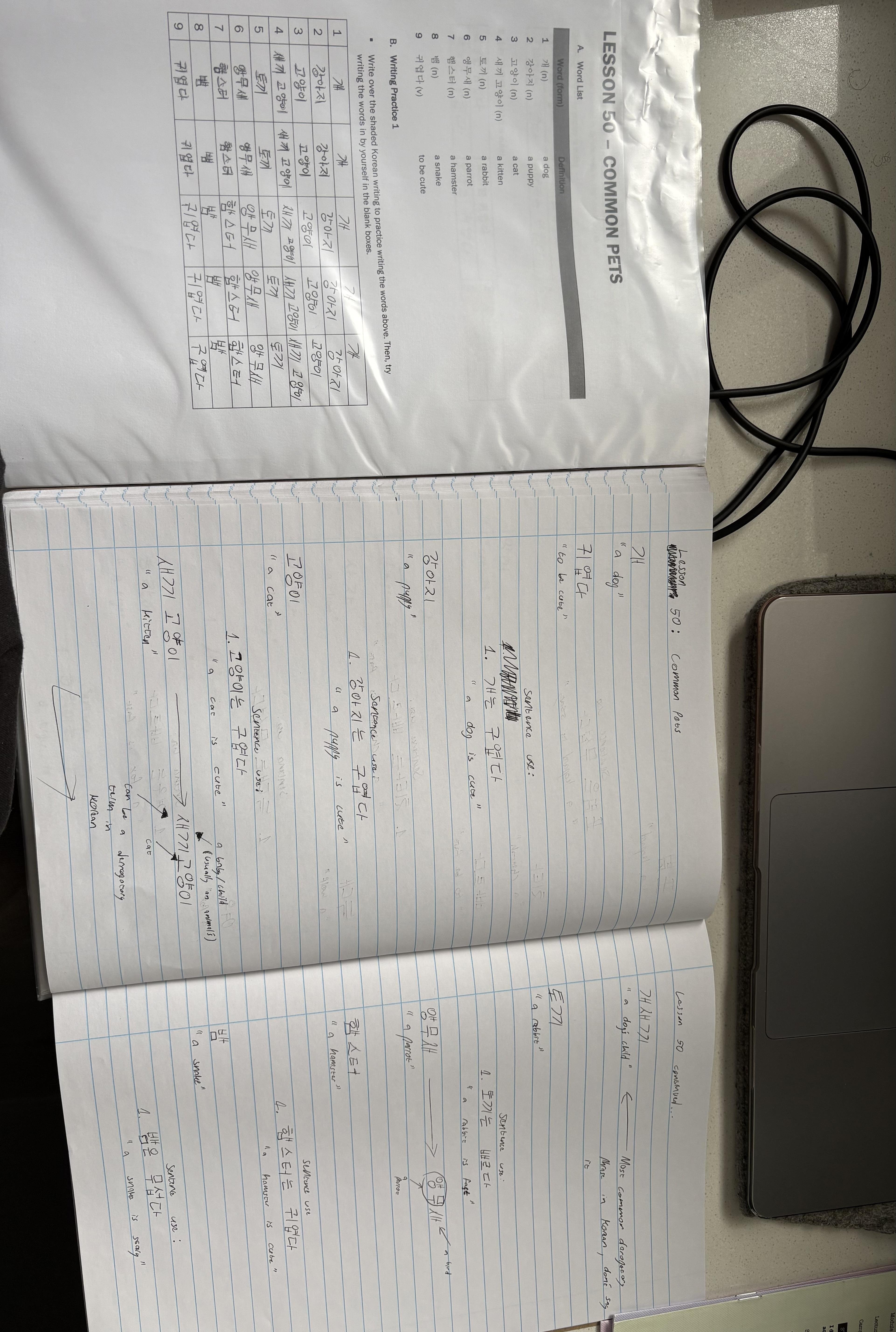 more-projects-from-class-img
