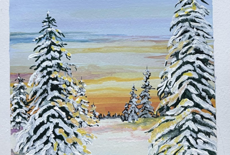 Snowy Spruce Grove