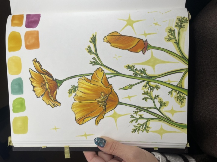 Hailey’s California Poppies
