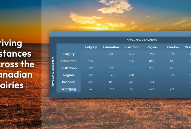 PowerPoint table practice