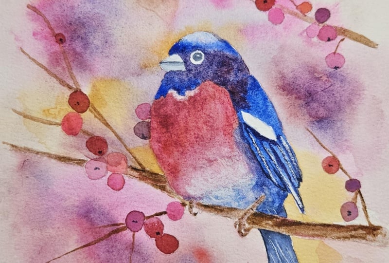Colorful bullfinch