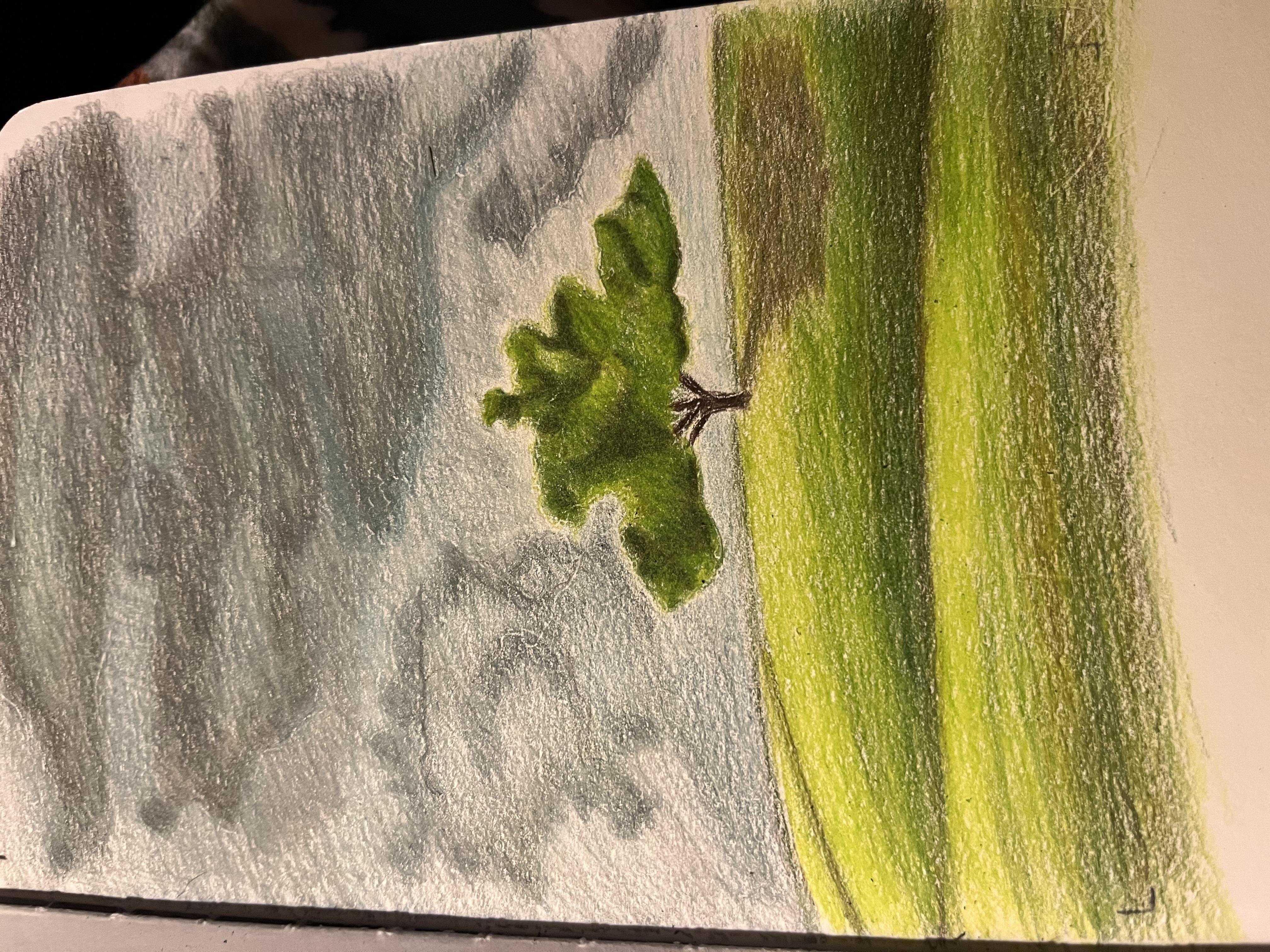 more-projects-from-class-img