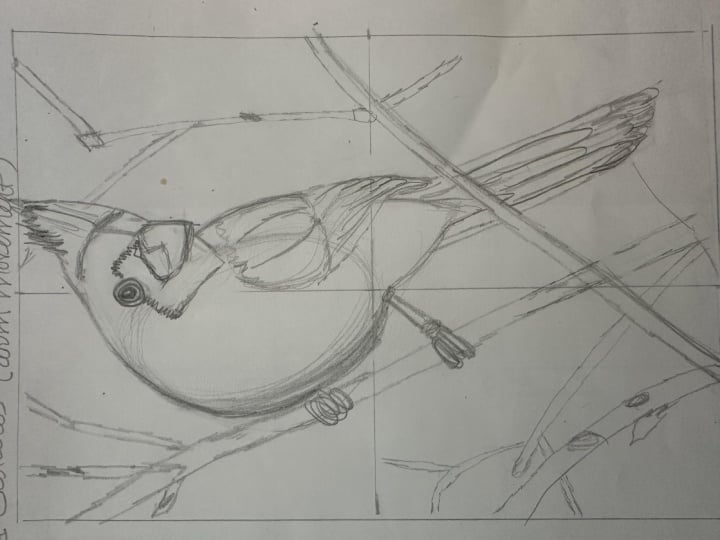 Cardinal sketch