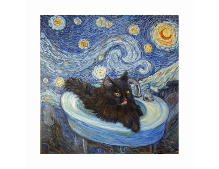 Starry Night, Sink Catnap: Studying the Masters