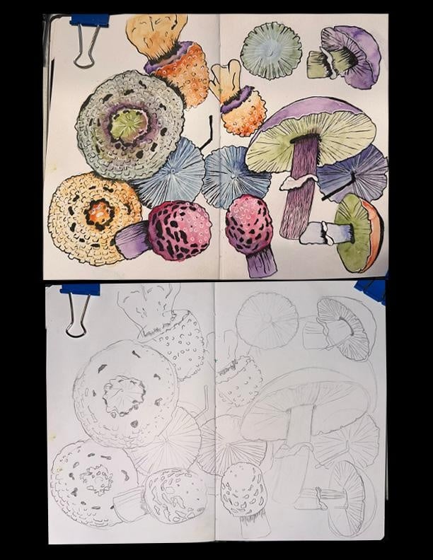more-projects-from-class-img