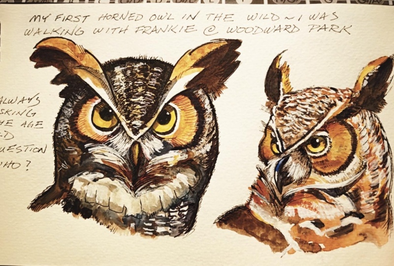 Two Owls