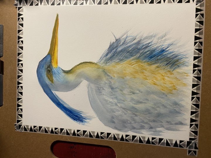 Great Blue Heron