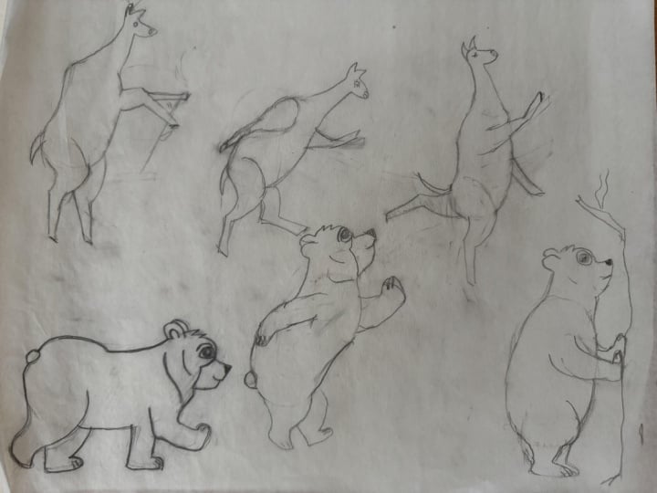 My 1st Animal Character Designs