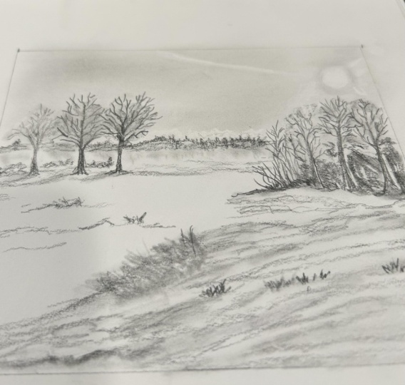 Landscapes