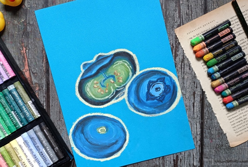 Oil pastels blueberry