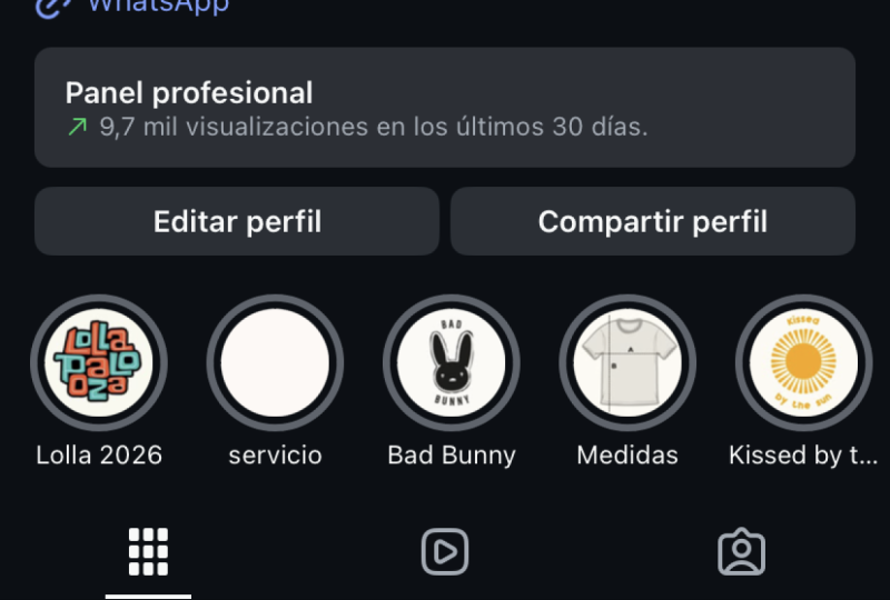 Mi instagram profile