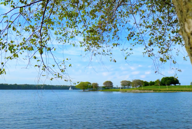 Clip 2 Color Graded