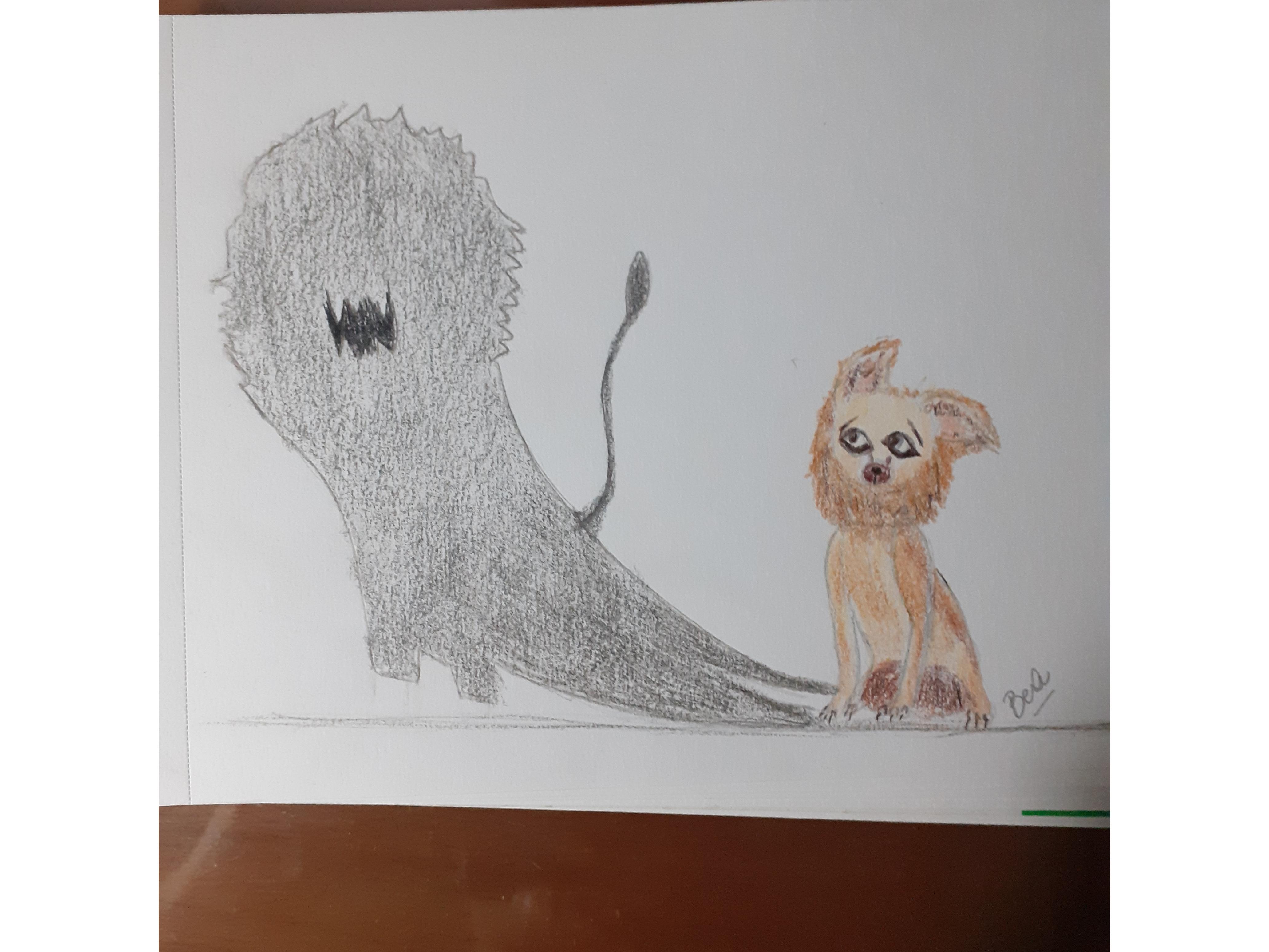 more-projects-from-class-img