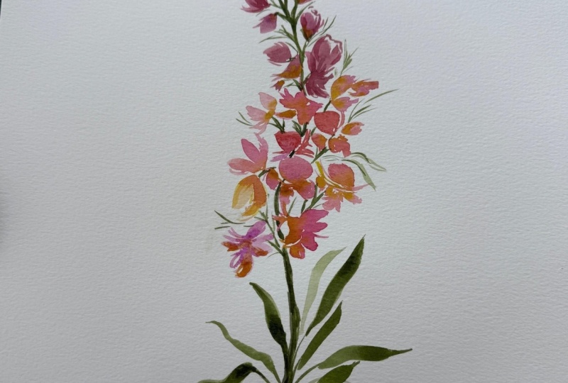 Snapdragon