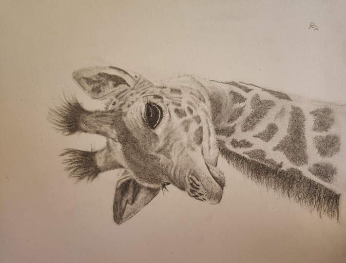 Geoffrey the Giraffe