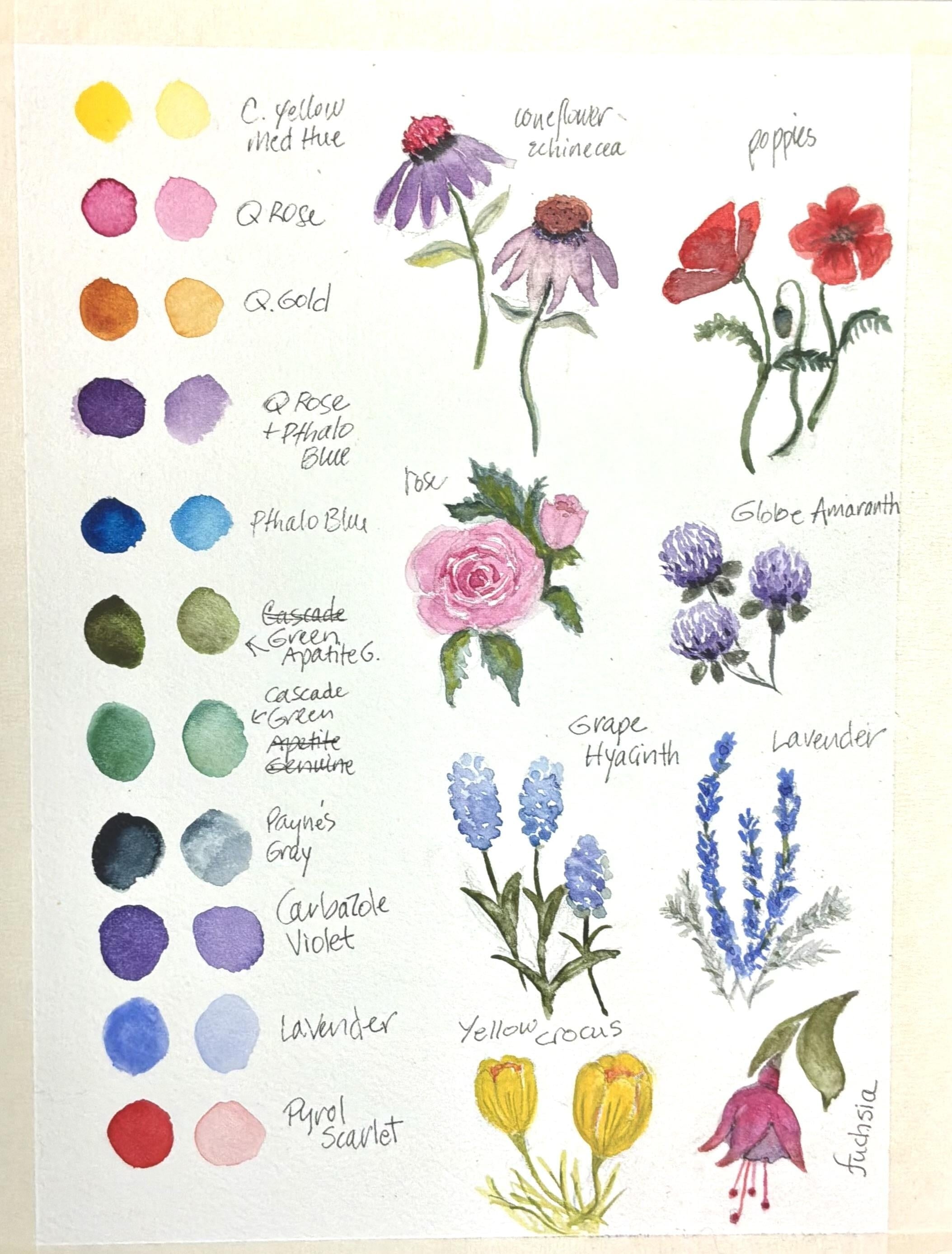 more-projects-from-class-img