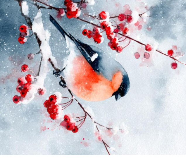 Bullfinch