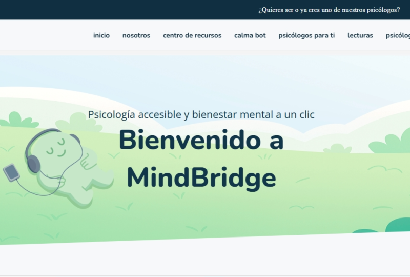 ux principles web project