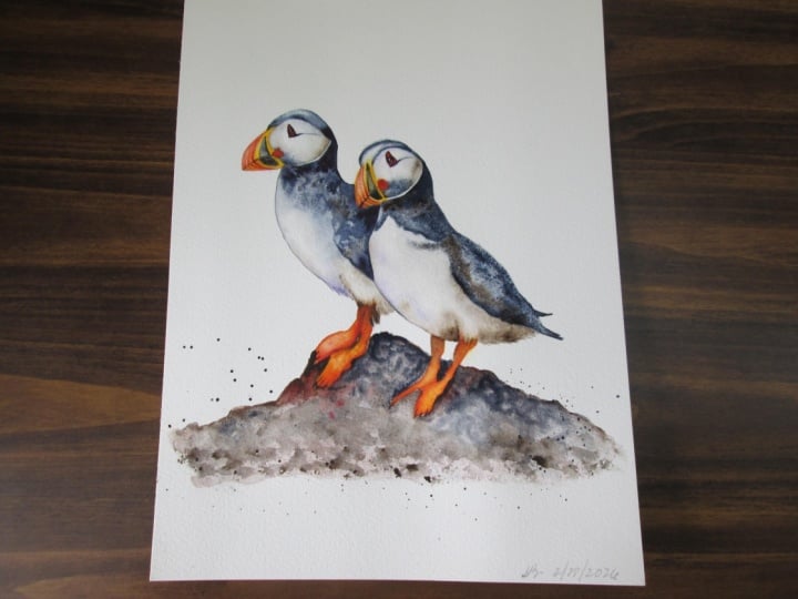 Jane's Puffins