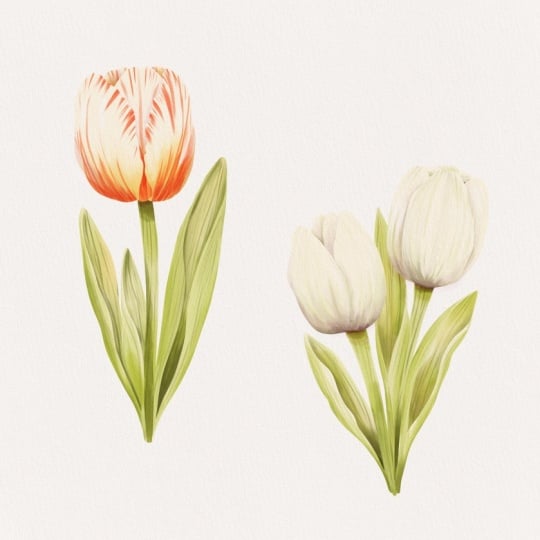 A Dutch girl just has to paint Tulips