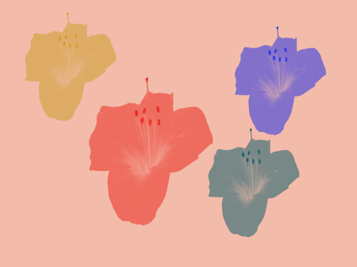Red Flower Procreate Photo Stamp Brush