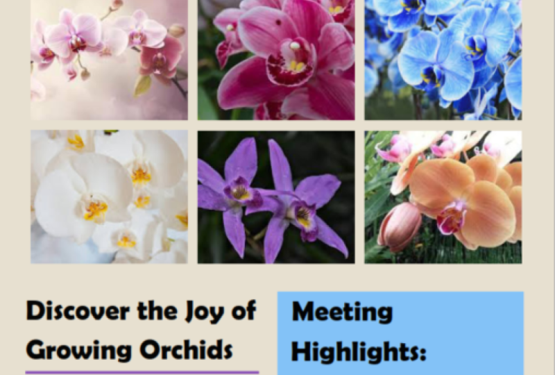 Orchid Society Gathering Flyer