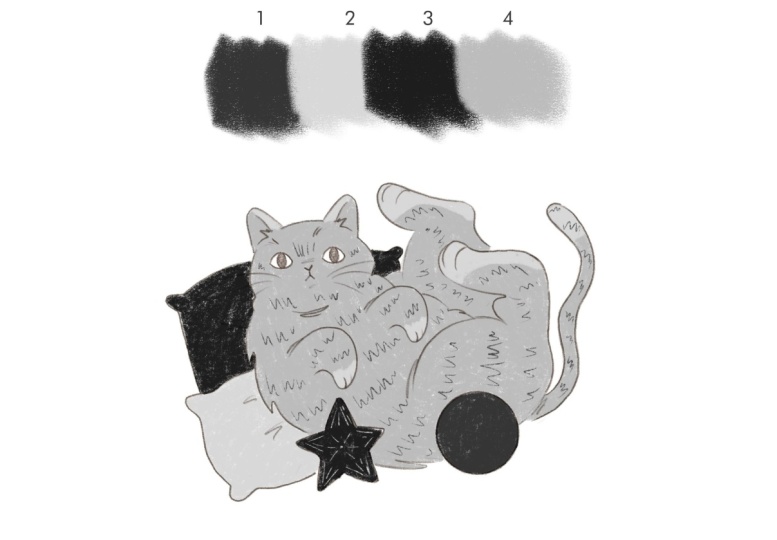 Value and colour study - Cat