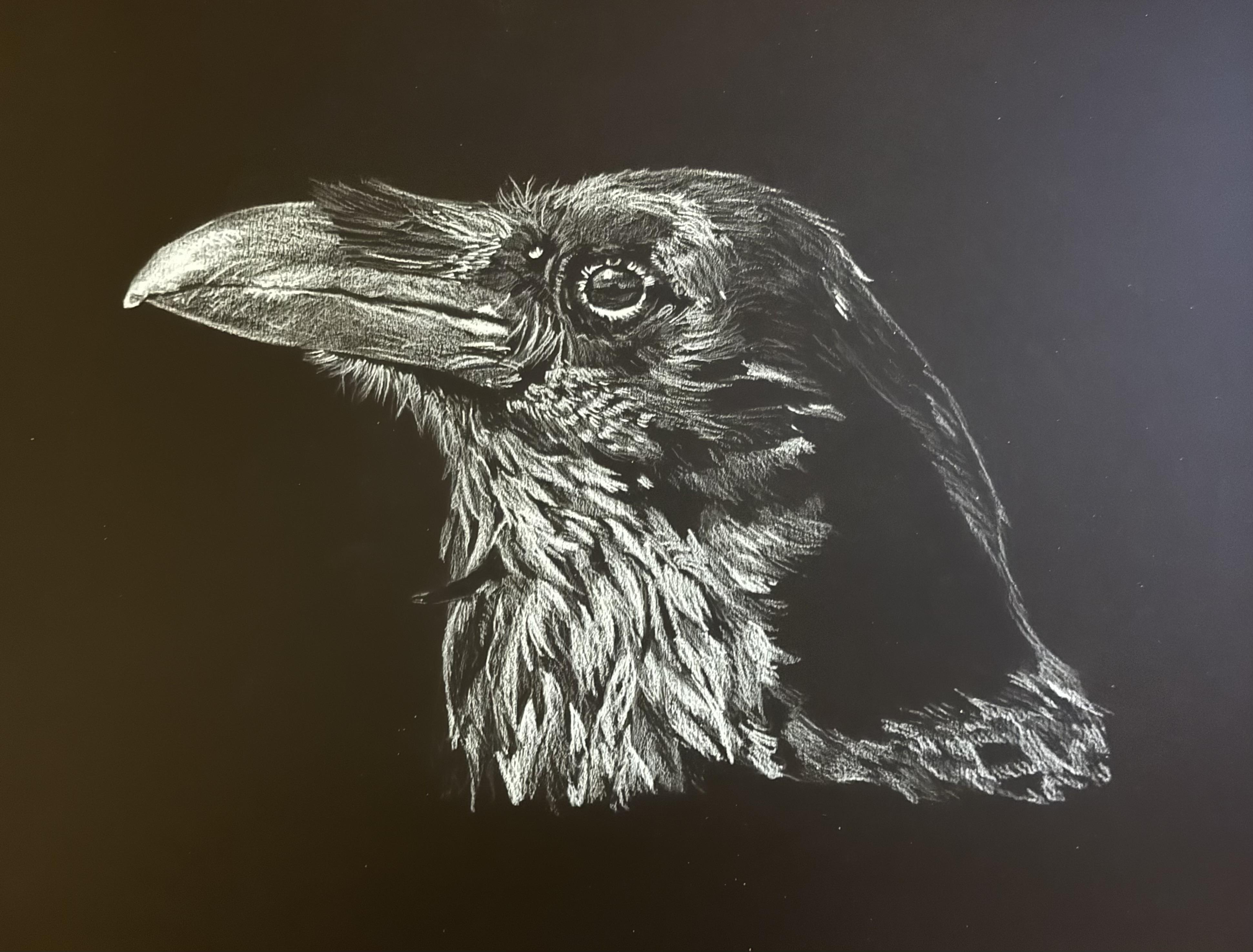 more-projects-from-class-img