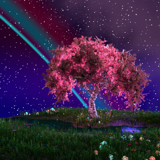 Blooms Amongst the Cosmos