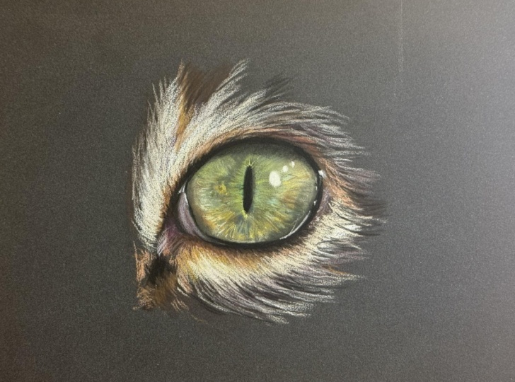 Pastel Study of a Cat Eye