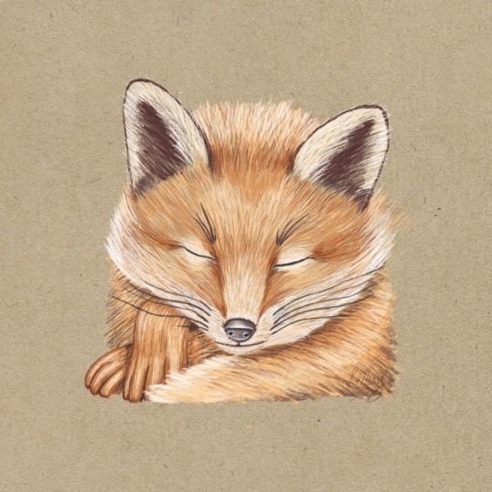 Fox