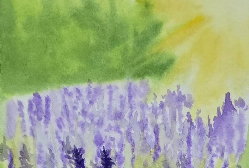 Spring landscape